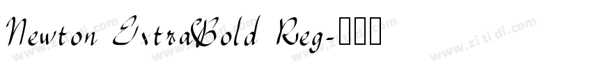 Newton ExtraBold Reg字体转换